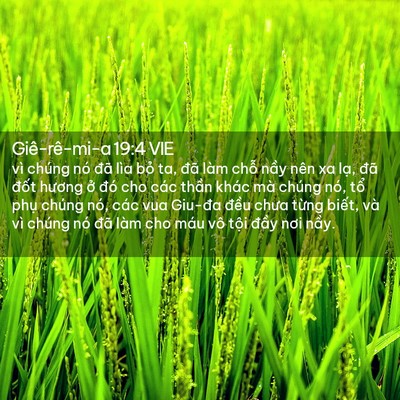 Picture 02 - Giê-rê-mi-a 19:4 VIE - vì chúng nó đã lìa bỏ ta, đã làm chỗ - Bible Verse Picture