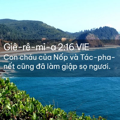 Picture 02 - Giê-rê-mi-a 2:16 VIE - Con cháu của Nốp và Tác-pha-nết cũng - Bible Verse Picture
