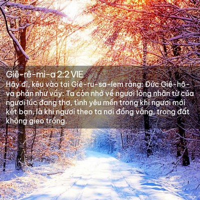 Picture 02 - Giê-rê-mi-a 2:2 VIE - Hãy đi, kêu vào tai Giê-ru-sa-lem rằng: - Bible Verse Picture