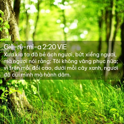 Picture 02 - Giê-rê-mi-a 2:20 VIE - Xưa kia ta đã bẻ ách ngươi, bứt xiềng - Bible Verse Picture