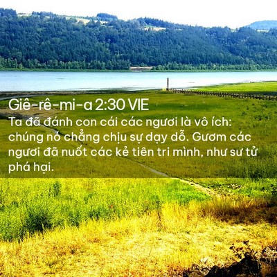 Picture 02 - Giê-rê-mi-a 2:30 VIE - Ta đã đánh con cái các ngươi là vô - Bible Verse Picture