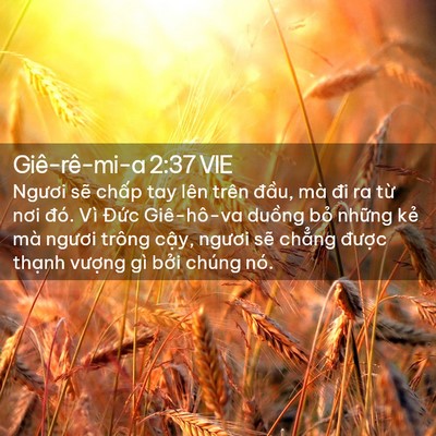 Picture 02 - Giê-rê-mi-a 2:37 VIE - Ngươi sẽ chấp tay lên trên đầu, mà - Bible Verse Picture