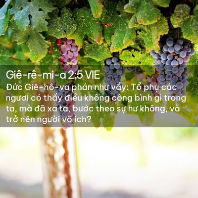 Picture 02 - Giê-rê-mi-a 2:5 VIE - Đức Giê-hô-va phán như vầy: Tổ phụ - Bible Verse Picture