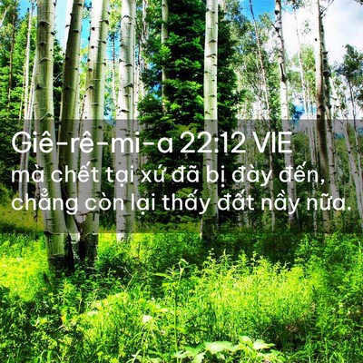 Picture 02 - Giê-rê-mi-a 22:12 VIE - mà chết tại xứ đã bị đày đến, - Bible Verse Picture