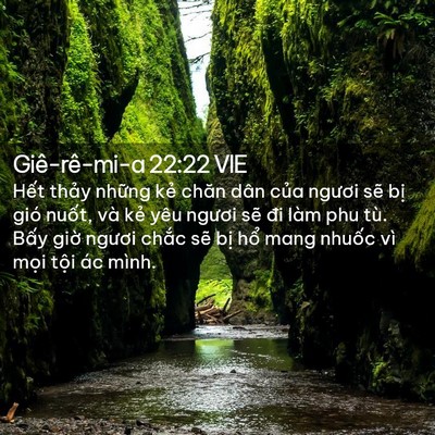 Picture 02 - Giê-rê-mi-a 22:22 VIE - Hết thảy những kẻ chăn dân của - Bible Verse Picture