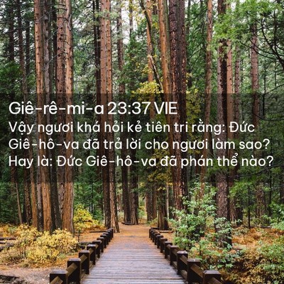 Picture 02 - Giê-rê-mi-a 23:37 VIE - Vậy ngươi khá hỏi kẻ tiên tri rằng: - Bible Verse Picture
