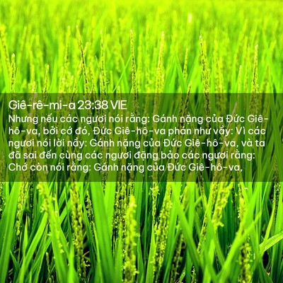 Picture 02 - Giê-rê-mi-a 23:38 VIE - Nhưng nếu các ngươi nói rằng: Gánh - Bible Verse Picture