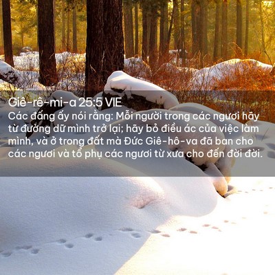 Picture 02 - Giê-rê-mi-a 25:5 VIE - Các đấng ấy nói rằng: Mỗi người - Bible Verse Picture
