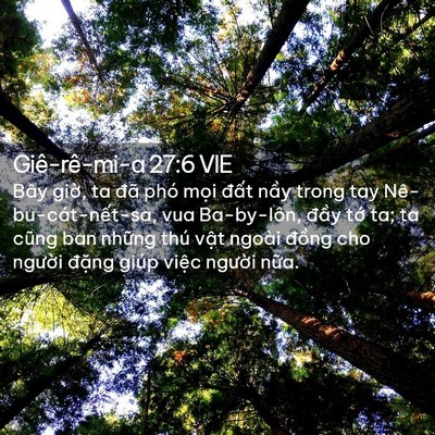 Picture 02 - Giê-rê-mi-a 27:6 VIE - Bây giờ, ta đã phó mọi đất nầy trong - Bible Verse Picture