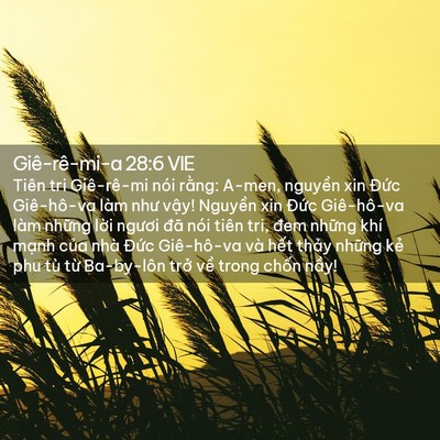 Picture 02 - Giê-rê-mi-a 28:6 VIE - Tiên tri Giê-rê-mi nói rằng: A-men, - Bible Verse Picture