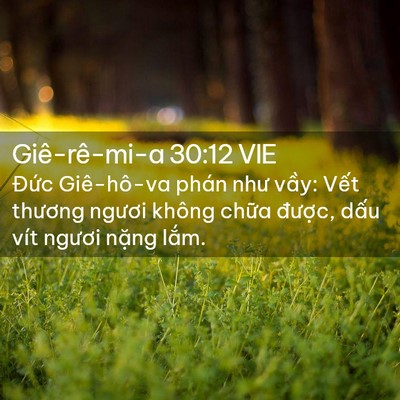 Picture 02 - Giê-rê-mi-a 30:12 VIE - Đức Giê-hô-va phán như vầy: Vết - Bible Verse Picture
