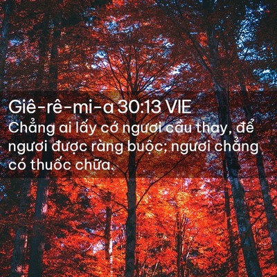 Picture 02 - Giê-rê-mi-a 30:13 VIE - Chẳng ai lấy cớ ngươi cầu thay, để - Bible Verse Picture