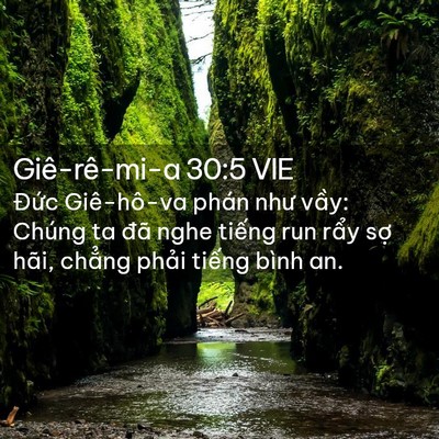 Picture 02 - Giê-rê-mi-a 30:5 VIE - Đức Giê-hô-va phán như vầy: Chúng ta - Bible Verse Picture