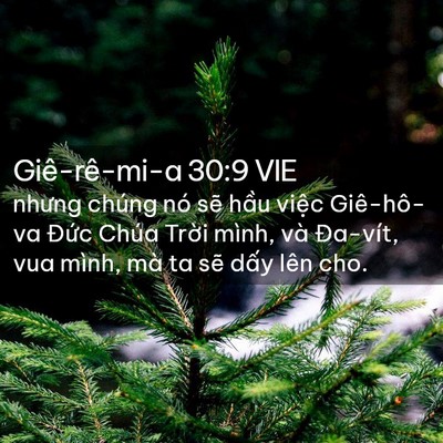 Picture 02 - Giê-rê-mi-a 30:9 VIE - nhưng chúng nó sẽ hầu việc Giê-hô-va - Bible Verse Picture