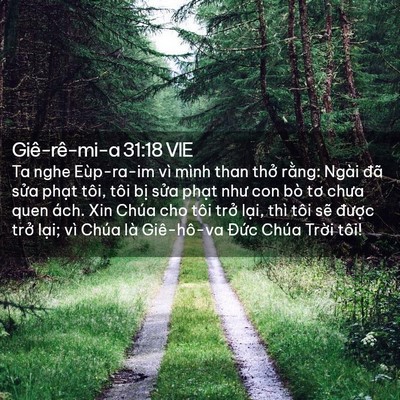 Picture 02 - Giê-rê-mi-a 31:18 VIE - Ta nghe Eùp-ra-im vì mình than thở rằng: - Bible Verse Picture