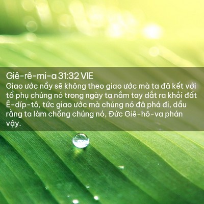 Picture 02 - Giê-rê-mi-a 31:32 VIE - Giao ước nầy sẽ không theo giao ước - Bible Verse Picture