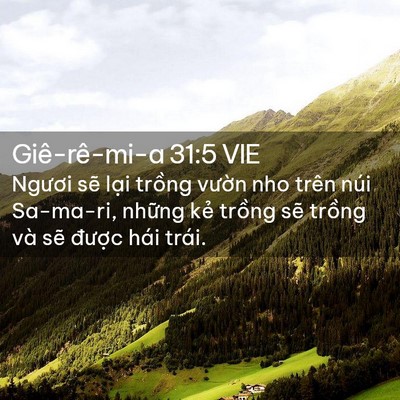 Picture 02 - Giê-rê-mi-a 31:5 VIE - Ngươi sẽ lại trồng vườn nho trên núi - Bible Verse Picture