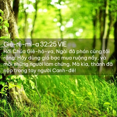 Picture 02 - Giê-rê-mi-a 32:25 VIE - Hỡi Chúa Giê-hô-va, Ngài đã phán cùng - Bible Verse Picture