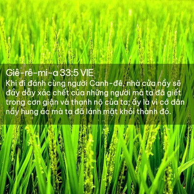 Picture 02 - Giê-rê-mi-a 33:5 VIE - Khi đi đánh cùng người Canh-đê, nhà - Bible Verse Picture