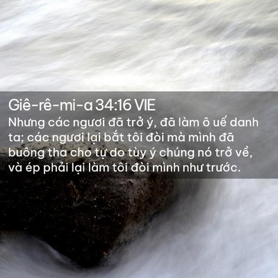 Picture 02 - Giê-rê-mi-a 34:16 VIE - Nhưng các ngươi đã trở ý, đã làm ô - Bible Verse Picture