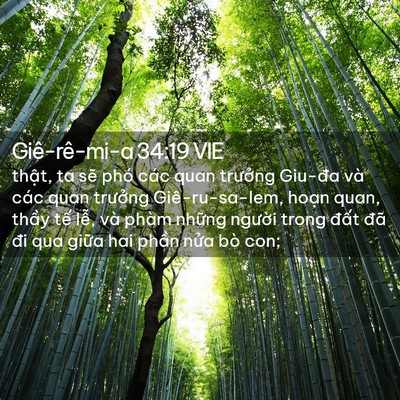 Picture 02 - Giê-rê-mi-a 34:19 VIE - thật, ta sẽ phó các quan trưởng Giu-đa - Bible Verse Picture