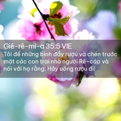 Picture 02 - Giê-rê-mi-a 35:5 VIE - Tôi để những bình đầy rượu và chén - Bible Verse Picture