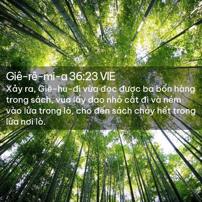 Picture 02 - Giê-rê-mi-a 36:23 VIE - Xảy ra, Giê-hu-đi vừa đọc được ba - Bible Verse Picture