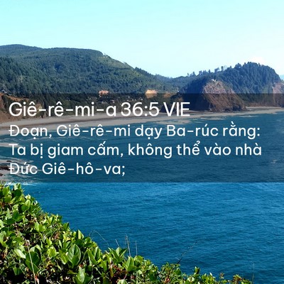 Picture 02 - Giê-rê-mi-a 36:5 VIE - Đoạn, Giê-rê-mi dạy Ba-rúc rằng: Ta - Bible Verse Picture