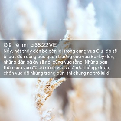 Picture 02 - Giê-rê-mi-a 38:22 VIE - Nầy, hết thảy đàn bà còn lại trong - Bible Verse Picture