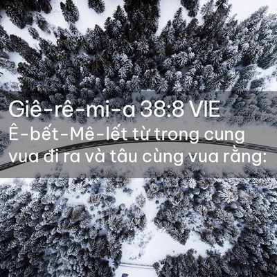 Picture 02 - Giê-rê-mi-a 38:8 VIE - Ê-bết-Mê-lết từ trong cung vua đi ra và - Bible Verse Picture