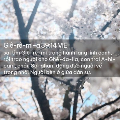Picture 02 - Giê-rê-mi-a 39:14 VIE - sai tìm Giê-rê-mi trong hành lang lính canh, - Bible Verse Picture