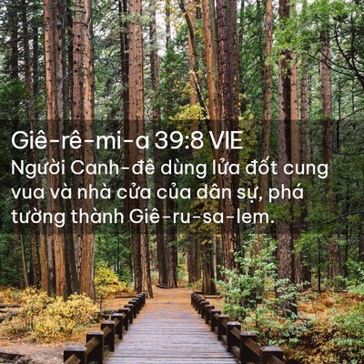 Picture 02 - Giê-rê-mi-a 39:8 VIE - Người Canh-đê dùng lửa đốt cung vua - Bible Verse Picture