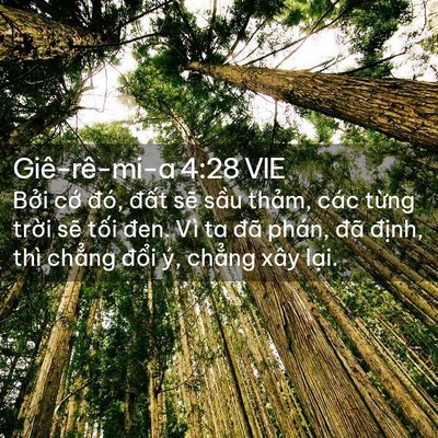 Picture 02 - Giê-rê-mi-a 4:28 VIE - Bởi cớ đó, đất sẽ sầu thảm, các - Bible Verse Picture