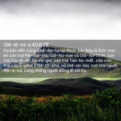 Picture 02 - Giê-rê-mi-a 40:8 VIE - Họ bèn đến cùng Ghê-đa-lia tại - Bible Verse Picture