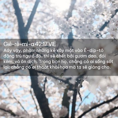 Picture 02 - Giê-rê-mi-a 42:17 VIE - Aáy vậy, phàm những kẻ xây mặt vào - Bible Verse Picture
