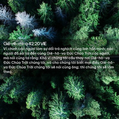 Picture 02 - Giê-rê-mi-a 42:20 VIE - Vì chính các ngươi làm sự dối trá - Bible Verse Picture