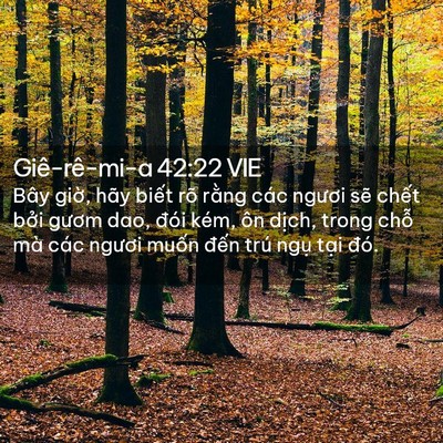 Picture 02 - Giê-rê-mi-a 42:22 VIE - Bây giờ, hãy biết rõ rằng các ngươi - Bible Verse Picture