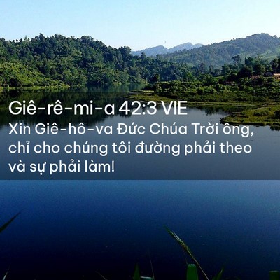 Picture 02 - Giê-rê-mi-a 42:3 VIE - Xin Giê-hô-va Đức Chúa Trời ông, chỉ - Bible Verse Picture