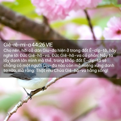 Picture 02 - Giê-rê-mi-a 44:26 VIE - Cho nên, hỡi cả dân Giu-đa hiện ở - Bible Verse Picture