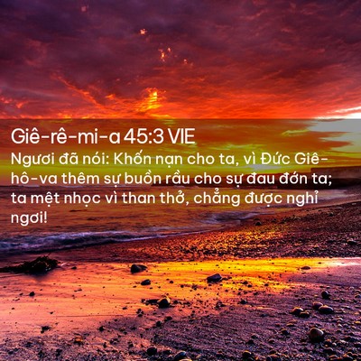 Picture 02 - Giê-rê-mi-a 45:3 VIE - Ngươi đã nói: Khốn nạn cho ta, vì - Bible Verse Picture