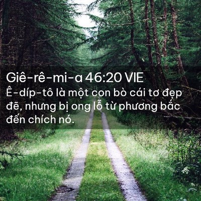 Picture 02 - Giê-rê-mi-a 46:20 VIE - Ê-díp-tô là một con bò cái tơ đẹp - Bible Verse Picture