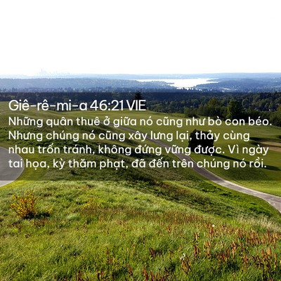 Picture 02 - Giê-rê-mi-a 46:21 VIE - Những quân thuê ở giữa nó cũng như bò - Bible Verse Picture