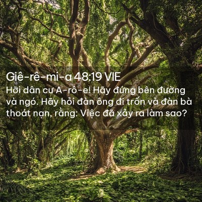 Picture 02 - Giê-rê-mi-a 48:19 VIE - Hỡi dân cư A-rô-e! Hãy đứng bên - Bible Verse Picture