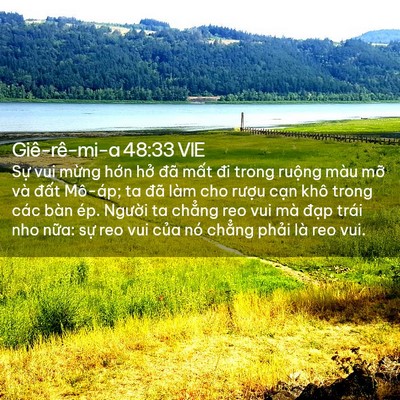 Picture 02 - Giê-rê-mi-a 48:33 VIE - Sự vui mừng hớn hở đã mất đi trong - Bible Verse Picture