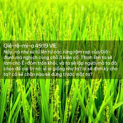 Picture 02 - Giê-rê-mi-a 49:19 VIE - Nầy, nó như sư tử lên từ các rừng - Bible Verse Picture