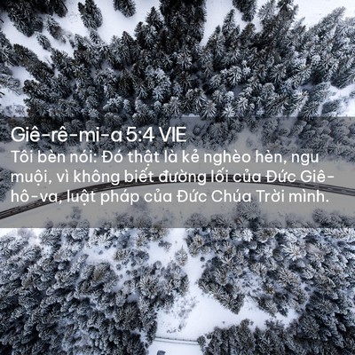 Picture 02 - Giê-rê-mi-a 5:4 VIE - Tôi bèn nói: Đó thật là kẻ nghèo hèn, - Bible Verse Picture