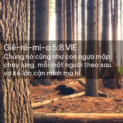 Picture 02 - Giê-rê-mi-a 5:8 VIE - Chúng nó cũng như con ngựa mập chạy - Bible Verse Picture