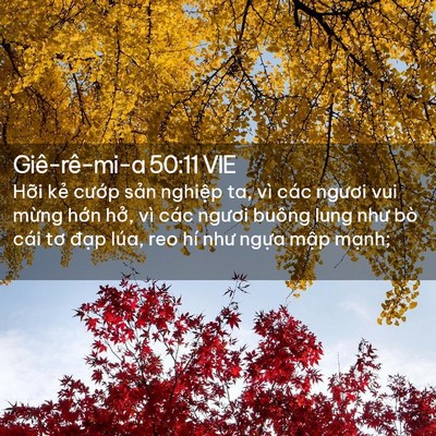 Picture 02 - Giê-rê-mi-a 50:11 VIE - Hỡi kẻ cướp sản nghiệp ta, vì các - Bible Verse Picture