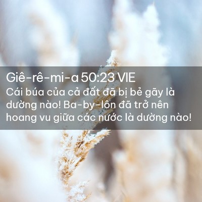 Picture 02 - Giê-rê-mi-a 50:23 VIE - Cái búa của cả đất đã bị bẻ gãy - Bible Verse Picture