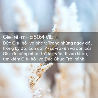 Picture 02 - Giê-rê-mi-a 50:4 VIE - Đức Giê-hô-va phán: Trong những ngày - Bible Verse Picture